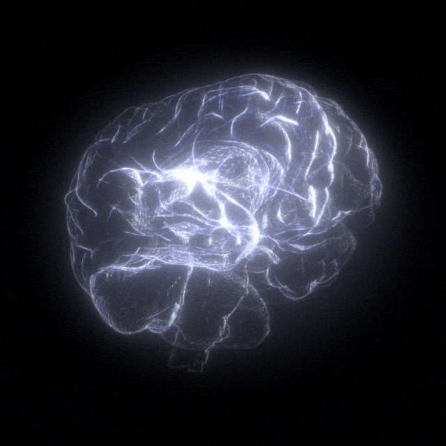 Brain